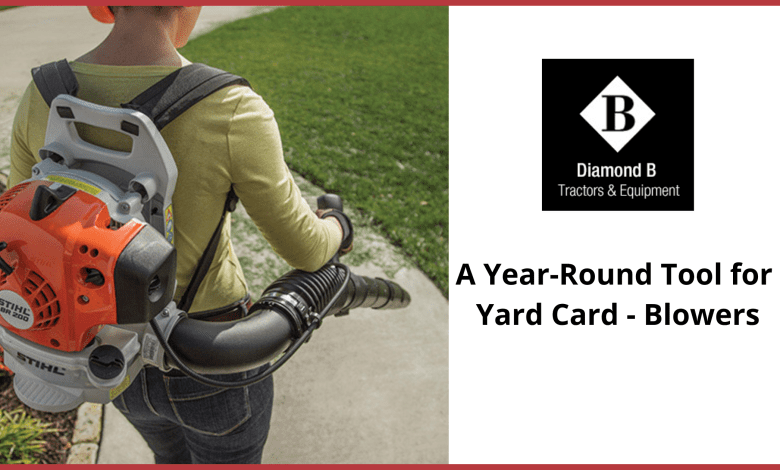 A-Year-Round-Tool-for-Yard-Card-Blowers