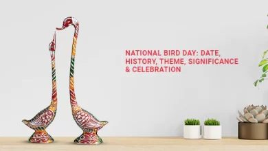 Photo of National Bird Day: Date, History, Celebration