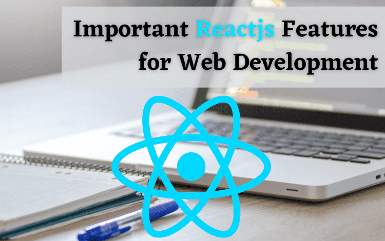 Important Reactjs Features for Web Development