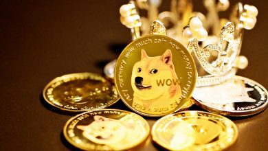 Photo of It started as a joke – now dog coin is worth more than Maersk