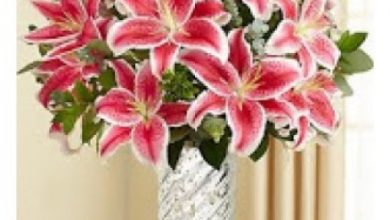 Photo of What are the best selling flowers online in Gurgaon