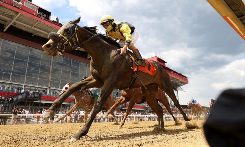 Preakness Stakes