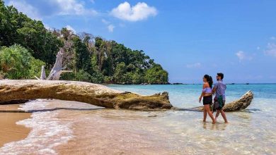 Photo of 8 Beautiful Places To Visit In Andaman You Can’t Afford To Miss In 2022