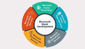 Microsoft Development Firm