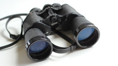 Photo of A Complete Guide To Buying The Best Binoculars