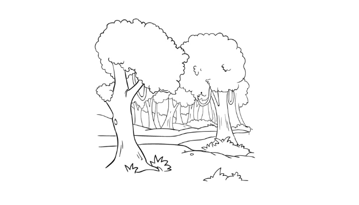  Draw A Forest 