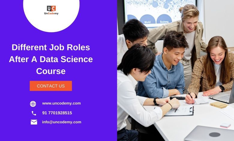 Different Job Roles After A Data Science Course