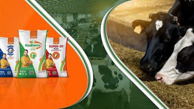 Photo of Nouriture: Your Right Choice To Get Best Cattle feed