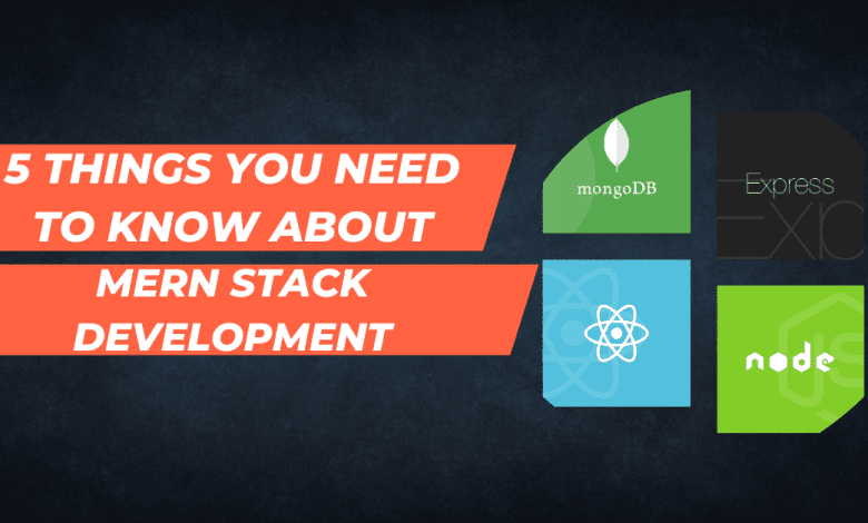 5 Things You Need To Know About MERN Stack Development