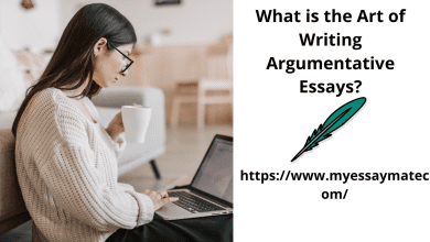 Photo of What is the Art of Argumentative Essay  Writing Services?