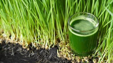 Photo of Wheatgrass Nutrition Facts and Health Benefits