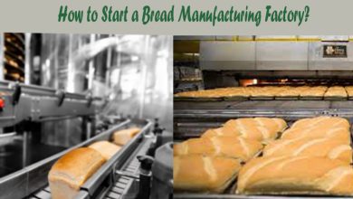Photo of How to start a bread manufacturing factory?