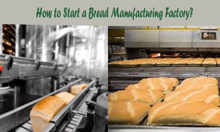 bread manufacturing factory