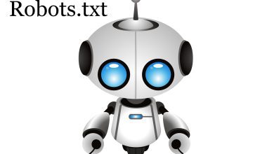 Photo of Robots.txt: what is it for?
