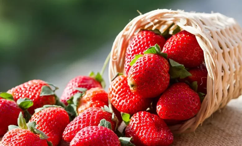 Possible Health Benefits of Strawberries