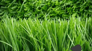 Photo of Artificial Grass & Advantages of Artificial Grass