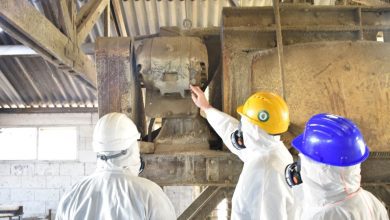 Photo of Protect Your Family: Get Professional Asbestos Removal Services in Sydney Now!