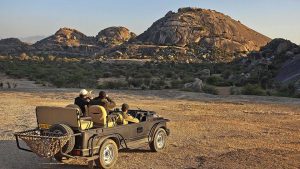 How to Reach Sariska National Park