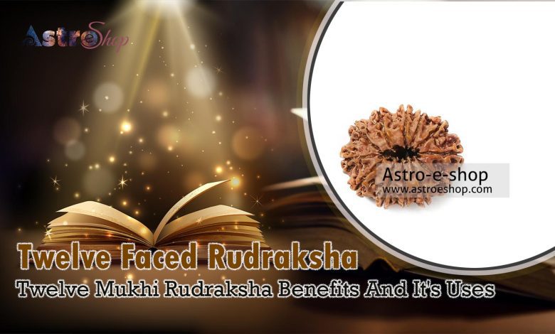 Twelve Mukhi Rudraksha Benefits