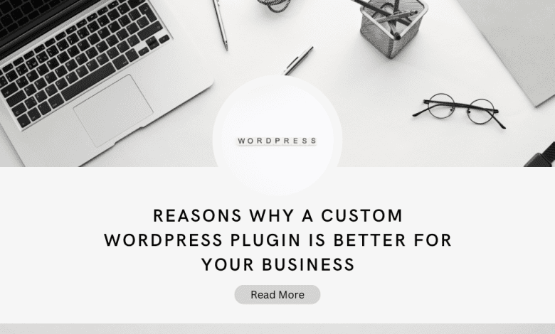 Reasons Why a Custom WordPress Plugin is Better for your Business