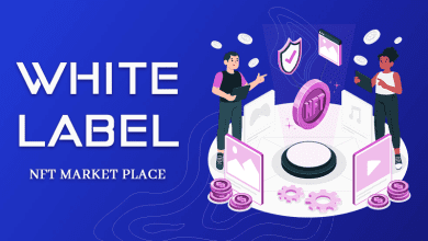 Photo of Overview Of Whitelabel NFT Marketplace Development – What It is And How to Get Started
