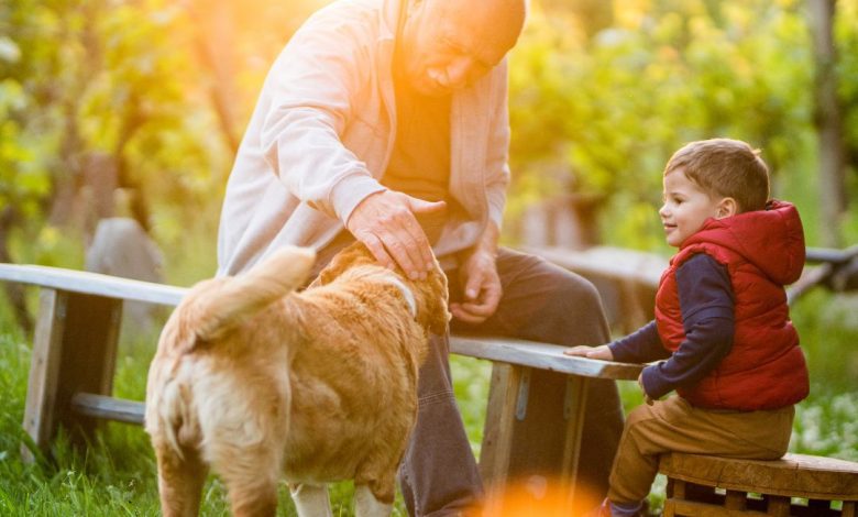 Emotional Support Animal Letter