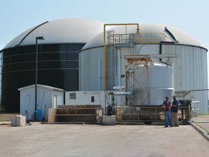 Anaerobic digester