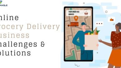 Photo of Online Grocery Delivery Service Challenges & Solutions