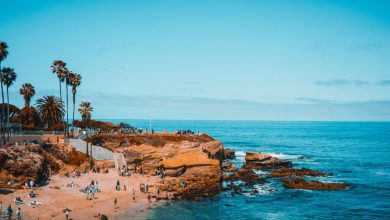 Photo of Top Places to explore in San Diego