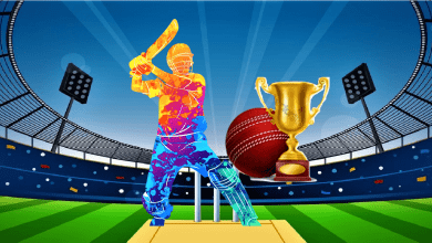 Photo of How to build a fantasy cricket website & mobile app like Khelchamps?