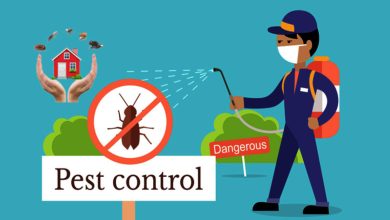 Photo of Pest Control Services In Sharjah – Don’t Let pests ruin your property!