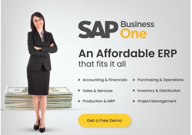 sap business one partners