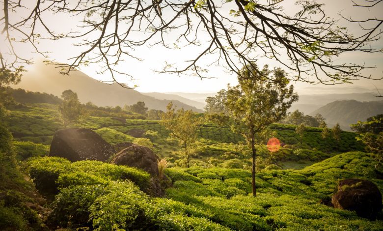 Munnar