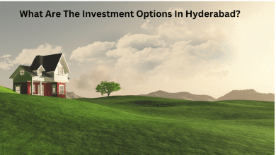 Photo of What Are The Investment Options In Hyderabad?