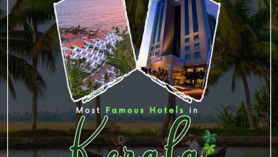 Photo of Most Famous Hotels in Kerala For Your Trip