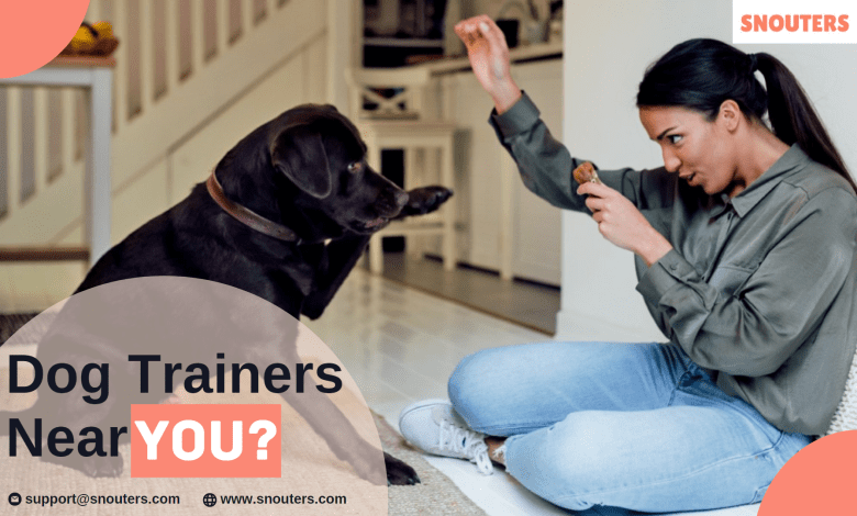 dog training service