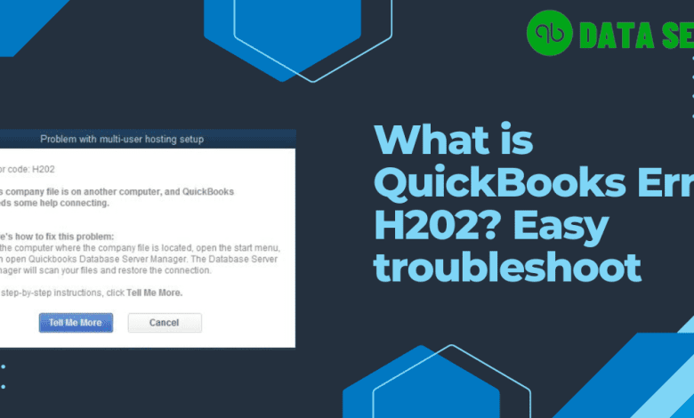 QuickBooks Error Code H202