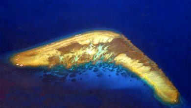 Photo of Top 10 islands have strange shapes