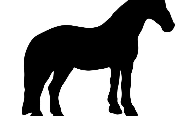 Clipping Patterns for Horses