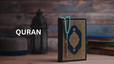 online quran academy