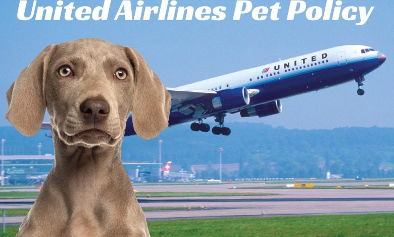 United Airlines Pet Policy