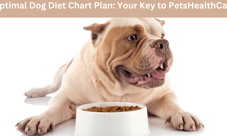 Optimal Dog Diet Chart Plan: Your Key to PetsHealthCart