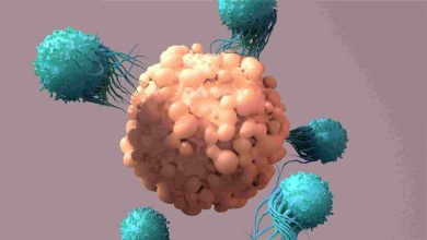 Photo of ADC Cleavable Linker: Classification and Mechanism of Action