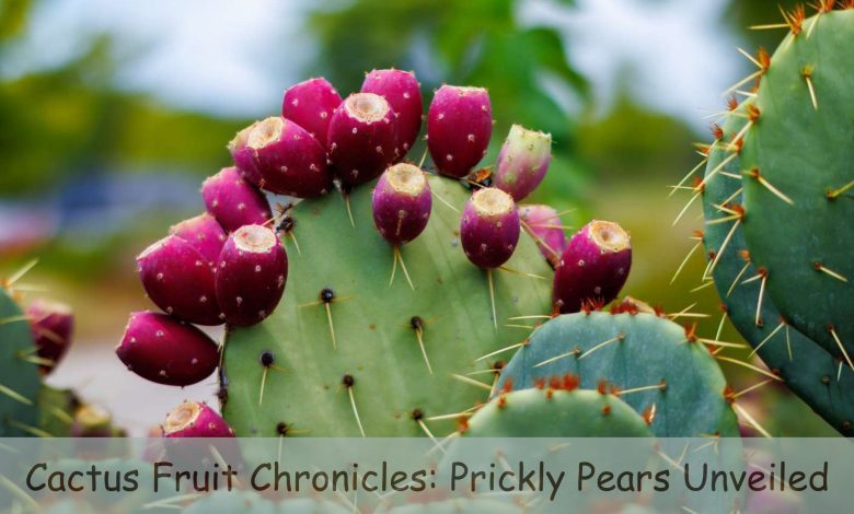 Cactus Fruit Chronicles: Prickly Pears Unveiled