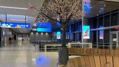 Photo of What Terminal is Frontier Airlines at DFW?