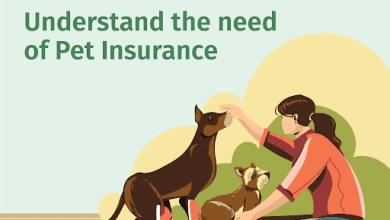 Photo of Understanding Pet Insurance and Its Tax Implications