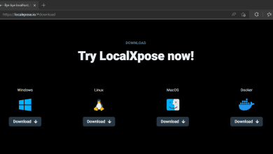 Photo of LocalXpose: Revolutionizing Local Development with Global Reach