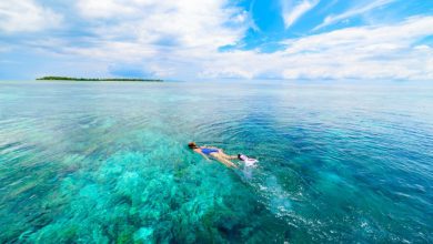 Photo of Why Nusa Penida in Bali Should Be Your Next Dive Destination