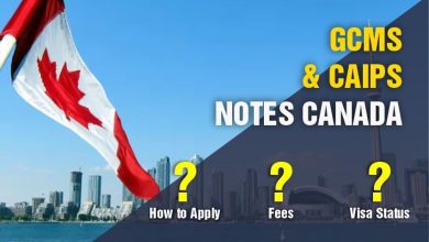 Photo of Everything You Need to Know About CAIPS Notes and GCMS Notes Application