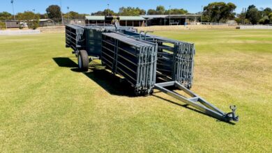 Photo of Portable Sheep Yards Built for Western Australia’s Toughest Conditions